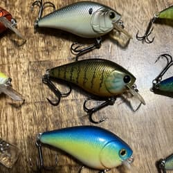 Lot Of 18 Squarebill Crankbaits Xcite Strike King Ark Unbranded No Combined Ship - Thumbnail 14