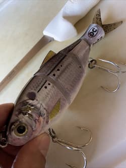 Pogie Lure SHAD Menhaden 2.30 oz. Orig. OC Swimbait White Bait 🔥BASS/Striper - Thumbnail 4