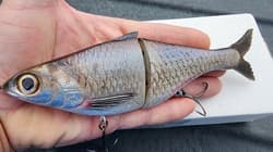 New Texas Swimbaits Gizzard Glide 8" 3.5oz Glide bait Chad Shad Clutch Pizz - Thumbnail 9