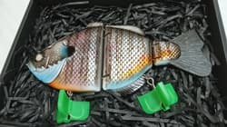 MONSTER GILL set - Thumbnail 2