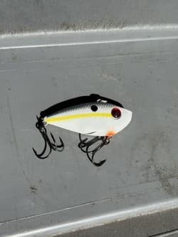 Googan Squad, River2Sea & Strike King Fishing Lure FOR BASS Box Lot (25+ baits) - Thumbnail 4