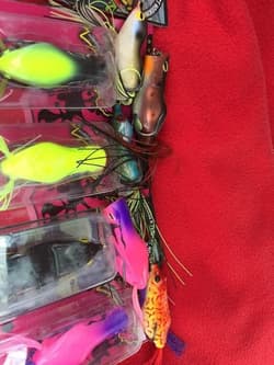 Frog, I owe you, Got it - Thumbnail 2