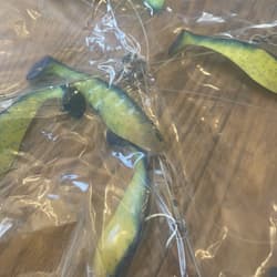 Umbrella Rig 4 Arm 11” With 6” Shad (9)  Chartr. Blue 8/0 Hook Mustad New In Pkg - Thumbnail 21