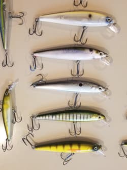 Jerkbait Bundle - Awesome Pack of Strike King KVD Jerkbaits - Great Colors! - Thumbnail 6