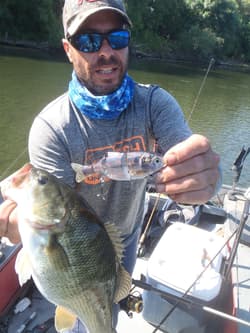 Swimbait sale auction 10 swimbaits  Striper swimbait fishing Glide Bait bass - Thumbnail 12