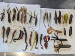 Evergreen C4 Shrimp, Antlion, Gary Yamamoto, Smallmouth Bass Lure Kits - Thumbnail 2