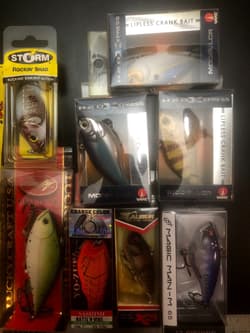 Huge Lipless Crankbait Lot - Lucky Craft, Xcalibur, Strike King, Spro (QTY 18) - Thumbnail 3