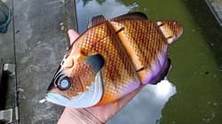 MONSTER GILL set - Thumbnail 7