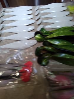 55+ Shad Paddle Tail Swimbaits great Umbrella Rig 6 Count Bag Pearl Green 6"+9" - Thumbnail 2