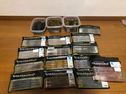 Gary Yamamoto Worm SetFat Ika, Yamasenko, Pro Senko - Thumbnail 1