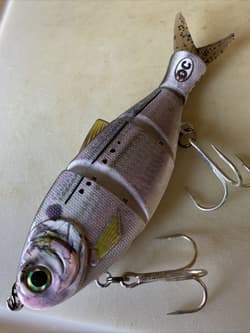 Pogie Lure SHAD Menhaden 2.30 oz. Orig. OC Swimbait White Bait 🔥BASS/Striper - Thumbnail 8