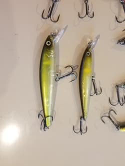 Jerkbait Bundle - Awesome Pack of Strike King KVD Jerkbaits - Great Colors! - Thumbnail 4