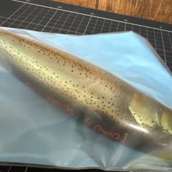 Tomos Lure Lunch Packer 10" Unused Fishing Bait - Thumbnail 6