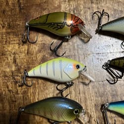 Lot Of 18 Squarebill Crankbaits Xcite Strike King Ark Unbranded No Combined Ship - Thumbnail 12