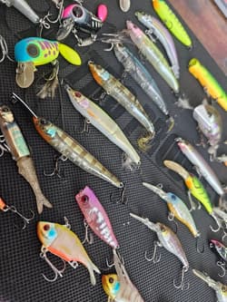 JACKALL Topwater Lure Collection, 40+ Pieces, Fishing Accessories, Japan - Thumbnail 5