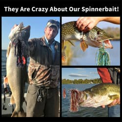 3PCS Premium Bass Fishing Buzzbait Kit Multicolor Swimbaits Hard Metal Lures US - Thumbnail 11