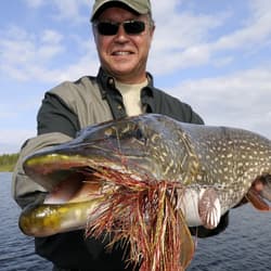 3PCS Premium Bass Fishing Buzzbait Kit Multicolor Swimbaits Hard Metal Lures US - Thumbnail 12