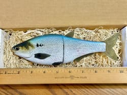 Authentic Hinkle Shad Swimbait / Glide Bait—Custom Painted (Brand New, Only 1) - Thumbnail 2