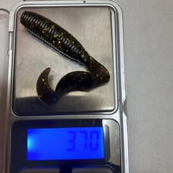 Gary Yamamoto Worm Set Single Tail Grub - Thumbnail 9