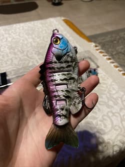 3:16 Lure Co. Swimbait 5 FS Gill Lot Of 2-(1) SS/(1)F BaitWorks Custom Color - Thumbnail 2