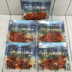 Gary Yamamoto Shad Shape Worm 3 inch 5 piece set t3379 - Thumbnail 2