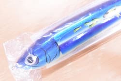 Carpenter Strike Eagle 250 L-Quiet Genkai Sea Special Casting Plug Used - Thumbnail 2