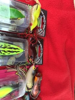 Frog, I owe you, Got it - Thumbnail 3