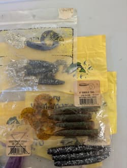 Gary Yamamoto Worms Bulk Worm Set - Thumbnail 4