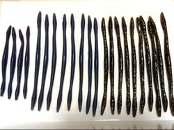 Gary Yamamoto Senko Worm - Thumbnail 2