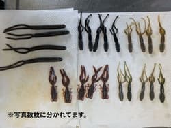 Evergreen C4 Shrimp, Antlion, Gary Yamamoto, Smallmouth Bass Lure Kits - Thumbnail 1