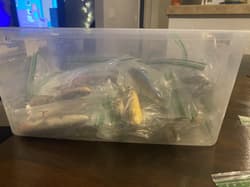 Mixed Lot of Hard & Soft Plastic Saltwater Lures - Thumbnail 5