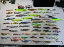 seabass, setupper, jolty, kagerou, silent assassin, kosuke - Thumbnail 1