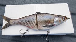 New Texas Swimbaits Gizzard Glide 8" 3.5oz Glide bait Chad Shad Clutch Pizz - Thumbnail 2
