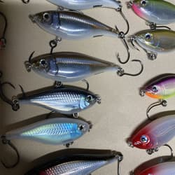 Giant Bundle of 55 Rapala X-Rap Jerkbaits - Top water Awesome Colors and Sizes! - Thumbnail 13