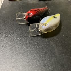 Strike King KVD 1.5 Set - Thumbnail 3