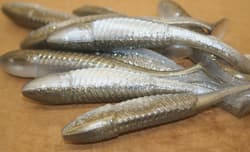 5" Swim Minnow Shad Paddle Tail Swimbait Trailer for A Rig 50 pack bulk Bag - Thumbnail 3