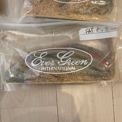 RAID JAPAN, Deps, Gary Yamamoto - Thumbnail 5