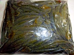 STRIKE KING KVD SWIM'N CAFFEINE SHAD 100 PACK BULK 5" SCSD5-46 GRN PMPKN A3401 - Thumbnail 2