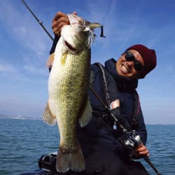 Megabass spinnerbait UOZE SWIMMER (5/8oz) Smelt Hook #5/0 - Thumbnail 4