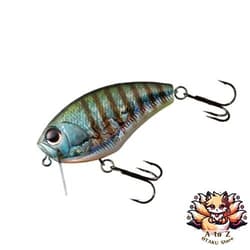 NEW OSP Daibuzzn Heavy Hitter 17g Topwater Buzzbait Black Gold Ver.T Color - Thumbnail 1