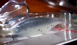 Manns Baitfish Minnow Umbrella Rig Q Paddler Weedless Shad Hardnose Discontinued - Thumbnail 8