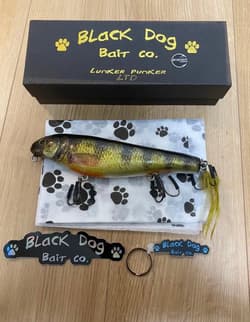 Lunker Punker 8inch Old Lure Free shipping - Thumbnail 1