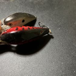 Strike King KVD 2.5 KVD 1.5 Hard Knock Set - Thumbnail 5