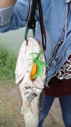 05 / HANMADE DOUBLE BLADED BUZZBAIT. BASS, NORTHERN PIKE, MUSKIE/ MUSKY. - Thumbnail 3