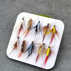 10Pcs Fly Fishing Wet Fly Assorted with Storage Box Fishing Accessories - Thumbnail 1