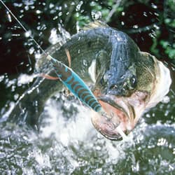 8Pcs 9.6G 10cm Luminou Jig Fishing Wood Shrimp Cuttlefish Jigs3532 - Thumbnail 5