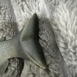 Baitsmith OG  ” kokanne H  swimbait 9” SUPER RARE Red Gills - Thumbnail 9