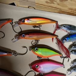 Giant Bundle of 55 Rapala X-Rap Jerkbaits - Top water Awesome Colors and Sizes! - Thumbnail 11