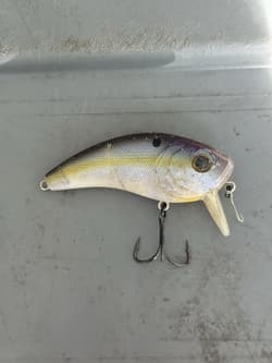 Googan Squad, River2Sea & Strike King Fishing Lure FOR BASS Box Lot (25+ baits) - Thumbnail 8