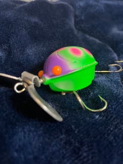 Frog s Ladybug - Thumbnail 9